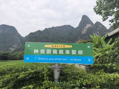 -明仕田园