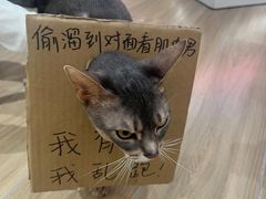 -NRG健身私教CLUB(打浦桥店)