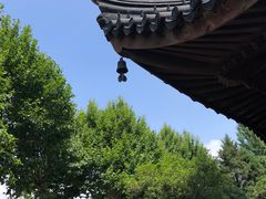 檐角-北寺塔