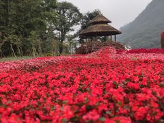 -广州市石门国家森林公园