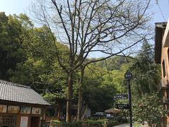 -天怡·鱼工厂(梅溪湖店)