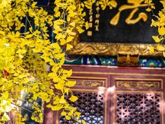 -宝通禅寺