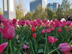 -泉城广场