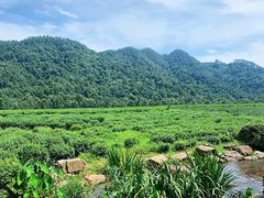 -中国茶叶博物馆(双峰馆区)
