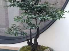 -晟永興烤鸭店(五道口店)