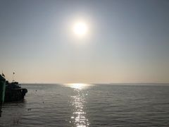 -碧海金沙