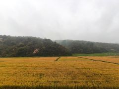 -南泥湾风景区