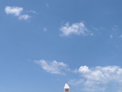 -东郊椰林