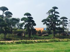 -梁子湖东篱老屋生态庄园