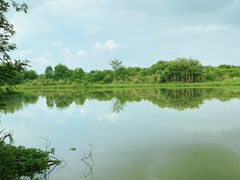 -中国天府农业博览园