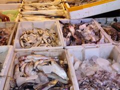 -芦潮港集贸市场