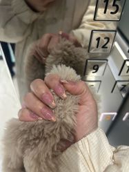 -FANS美甲美睫