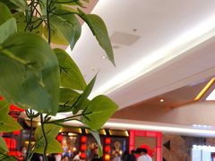 -哥老官重庆美蛙鱼头(龙湖杭州金沙天街店)