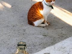 -东钱湖旅游度假区