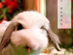 -JOJO实景沉浸侦探剧本杀(大悦城店)