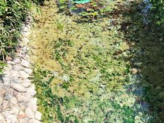 -汤山一号温泉度假区