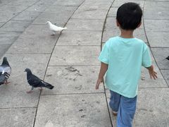 -大连人民广场