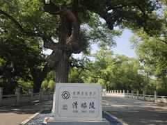 -北陵公园