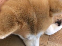 -YCHL Studios健身工作室(市二宫店)