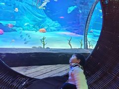 -沈阳海洋探索中心