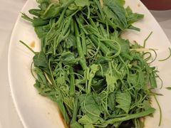 炒丝瓜尖-大鸭梨烤鸭(石佛营店)