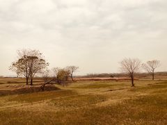 -盘龙城国家考古遗址公园