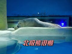 -大连圣亚海洋世界