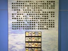 -上海昆虫博物馆