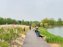 -东郊湿地公园