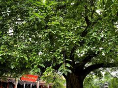 -园里火锅(仁和新城店)