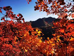 -妙峰山风景名胜区