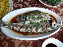 -晓琦农家菜馆·地道农家菜