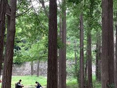 -阳台山自然风景区