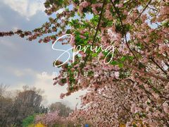 -元大都城垣遗址公园