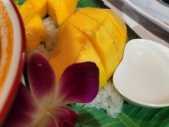 -Jungle Kitchen