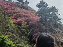 -木兰云雾山