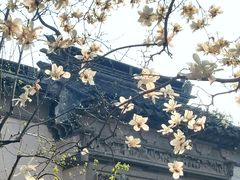-耦园