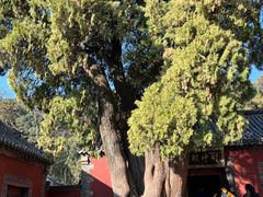 -泰山风景名胜区