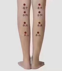 -香薇妮丝·定制减肥·身材管理