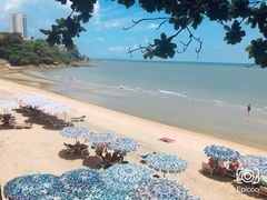 -卷心菜和避孕套餐厅(Pattaya)