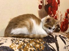 -大观园影院式足浴Spa店(沙坪坝店)