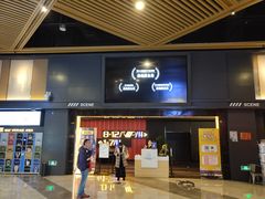 -万达影城(闵行颛桥万达广场杜比影院店)