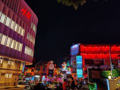 -马六甲鸡场街