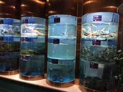 -香坝坝鲜鱼火锅(春熙路店)