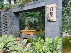 -深圳仙湖植物园