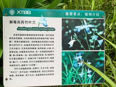 -中国科学院西双版纳热带植物园