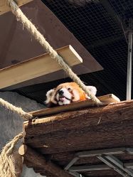 -Zoolung Zoolung动物主题公园(海信广场店)