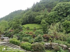 -桃花岭景区