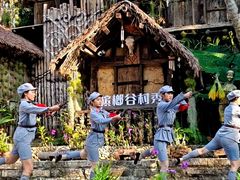 -海南槟榔谷黎苗文化旅游区