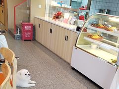 -霍嘟嘟手工水饺(黄山花园店)